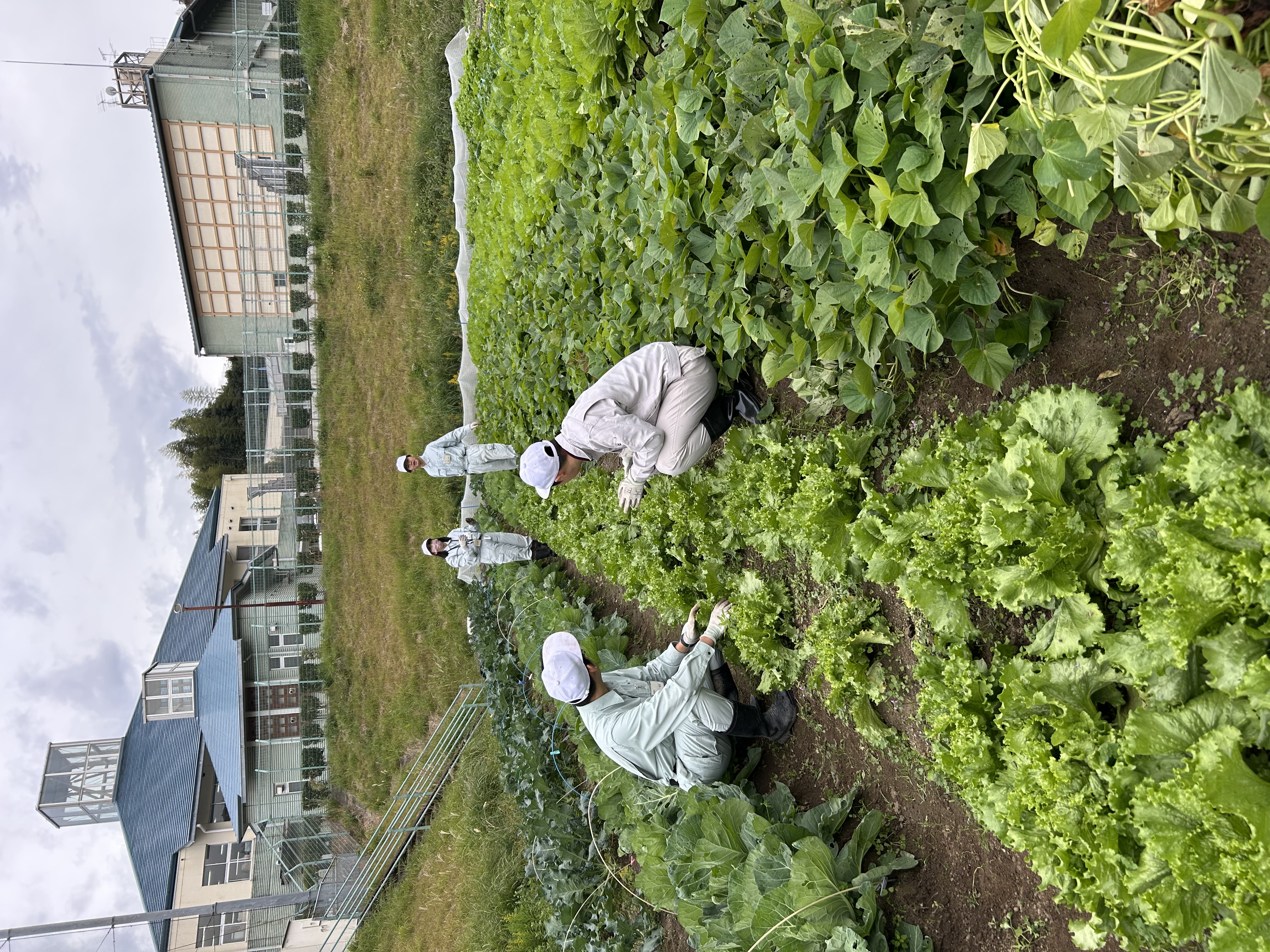 校内実習⑤(園芸)