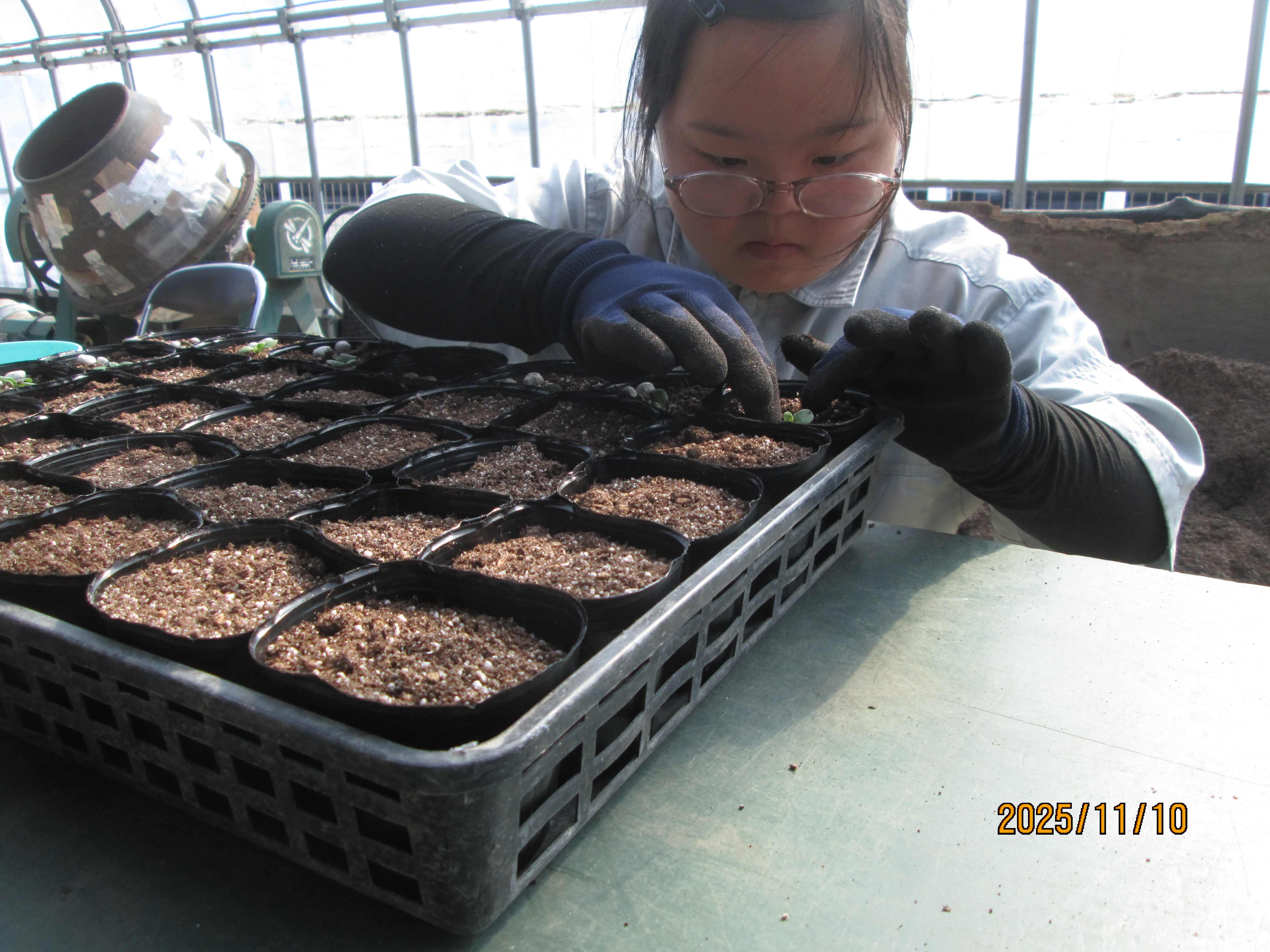 施設実習(立石①)